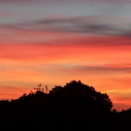 Chalet Aisha Corbeyrier